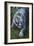 White Tiger-Jenny Newland-Framed Giclee Print