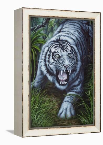 White Tiger-Jenny Newland-Framed Premier Image Canvas