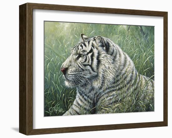 White Tiger-Jeff Tift-Framed Giclee Print