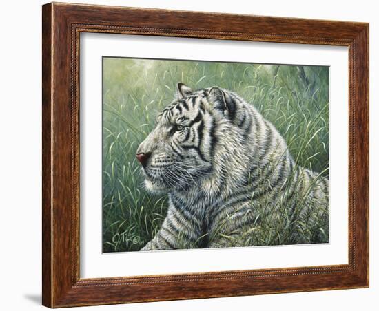 White Tiger-Jeff Tift-Framed Giclee Print