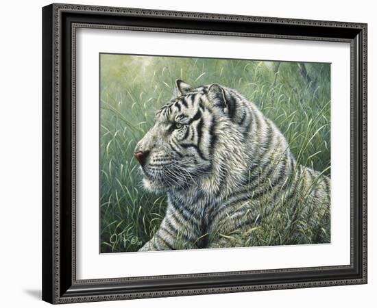 White Tiger-Jeff Tift-Framed Giclee Print