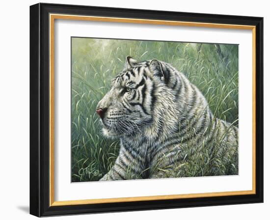 White Tiger-Jeff Tift-Framed Giclee Print