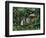 White Tigers-Betty Lou-Framed Giclee Print