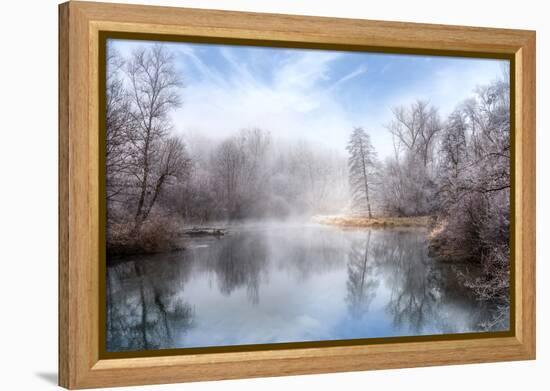 White Transformation-Philippe Sainte-Laudy-Framed Premier Image Canvas