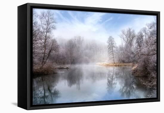 White Transformation-Philippe Sainte-Laudy-Framed Premier Image Canvas