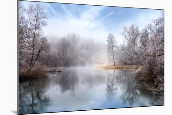 White Transformation-Philippe Sainte-Laudy-Mounted Premium Photographic Print