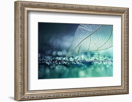 White Transparent Skeleton Leaf with Beautiful Texture on a Turquoise Abstract Background on Glass-Laura Pashkevich-Framed Photographic Print