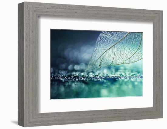 White Transparent Skeleton Leaf with Beautiful Texture on a Turquoise Abstract Background on Glass-Laura Pashkevich-Framed Photographic Print