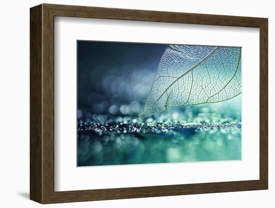 White Transparent Skeleton Leaf with Beautiful Texture on a Turquoise Abstract Background on Glass-Laura Pashkevich-Framed Photographic Print