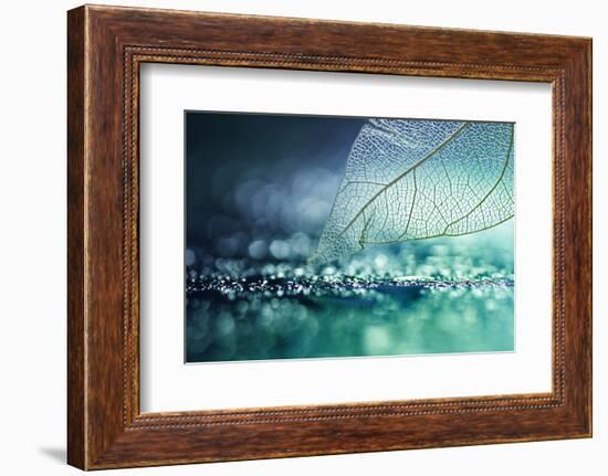 White Transparent Skeleton Leaf with Beautiful Texture on a Turquoise Abstract Background on Glass-Laura Pashkevich-Framed Photographic Print