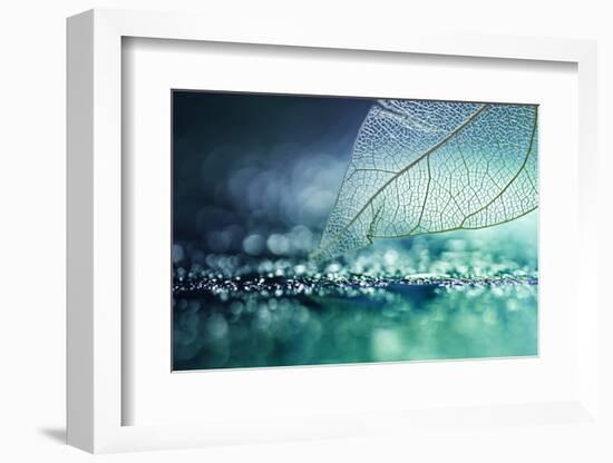 White Transparent Skeleton Leaf with Beautiful Texture on a Turquoise Abstract Background on Glass-Laura Pashkevich-Framed Photographic Print