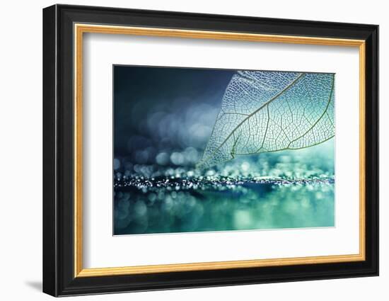 White Transparent Skeleton Leaf with Beautiful Texture on a Turquoise Abstract Background on Glass-Laura Pashkevich-Framed Photographic Print