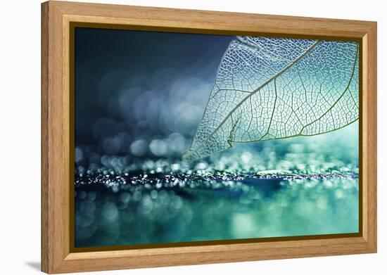 White Transparent Skeleton Leaf with Beautiful Texture on a Turquoise Abstract Background on Glass-Laura Pashkevich-Framed Premier Image Canvas