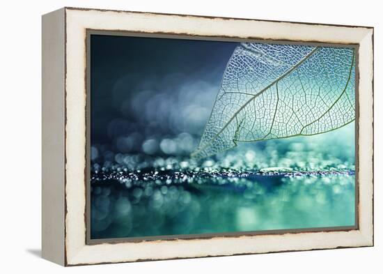 White Transparent Skeleton Leaf with Beautiful Texture on a Turquoise Abstract Background on Glass-Laura Pashkevich-Framed Premier Image Canvas