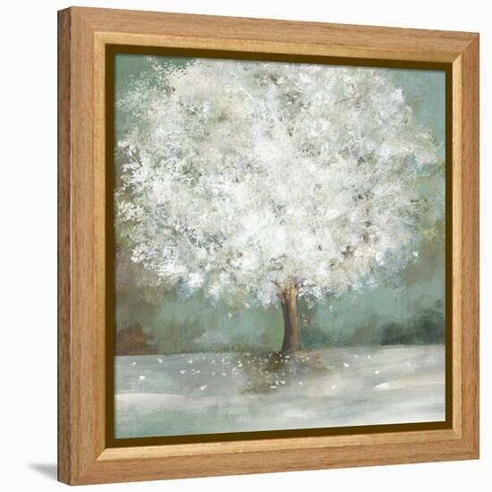 White Tree-Allison Pearce-Framed Stretched Canvas