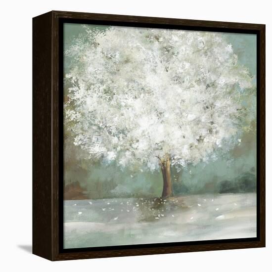 White Tree-Allison Pearce-Framed Stretched Canvas