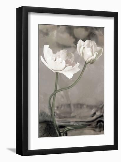 White Tulip Celebration I-Richard Sutton-Framed Art Print