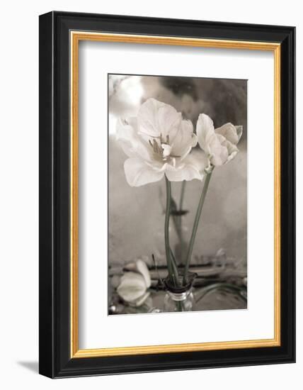 White Tulip Celebration II-Richard Sutton-Framed Art Print