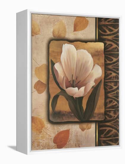 White Tulip-TC Chiu-Framed Stretched Canvas