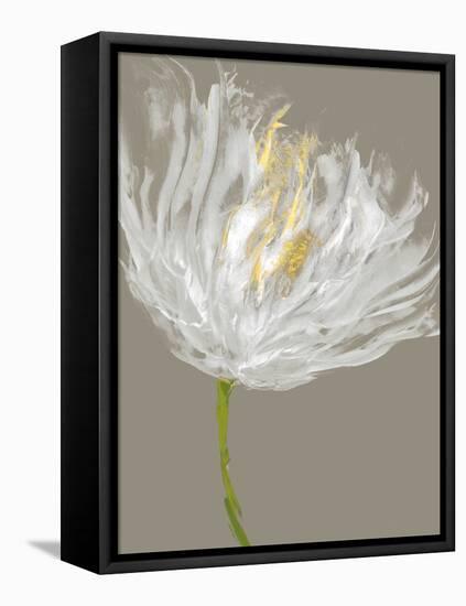 White Tulips I-Vanessa Austin-Framed Stretched Canvas