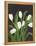 White Tulips on Black (1)-Pamela Munger-Framed Stretched Canvas