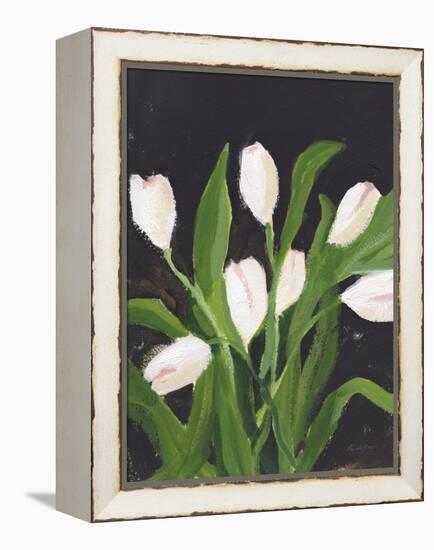 White Tulips on Black (1)-Pamela Munger-Framed Stretched Canvas