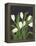 White Tulips on Black (1)-Pamela Munger-Framed Stretched Canvas