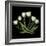 White Tulips-Magda Indigo-Framed Photographic Print