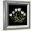 White Tulips-Magda Indigo-Framed Photographic Print