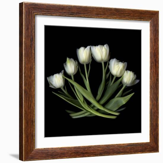 White Tulips-Magda Indigo-Framed Photographic Print