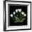 White Tulips-Magda Indigo-Framed Photographic Print