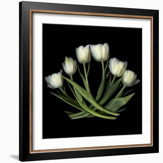White Tulips-Magda Indigo-Framed Photographic Print