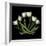 White Tulips-Magda Indigo-Framed Photographic Print