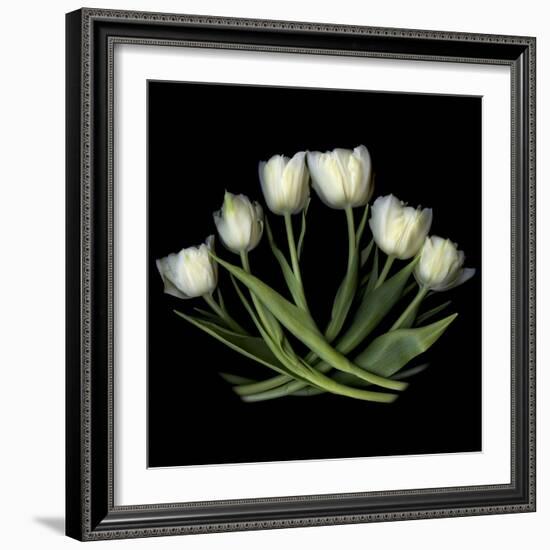 White Tulips-Magda Indigo-Framed Photographic Print