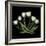 White Tulips-Magda Indigo-Framed Photographic Print