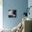 White Walls-Olavo Azevedo-Mounted Photographic Print displayed on a wall