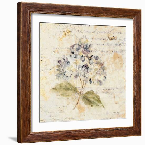White Wash Hydrangea-Cheri Blum-Framed Art Print