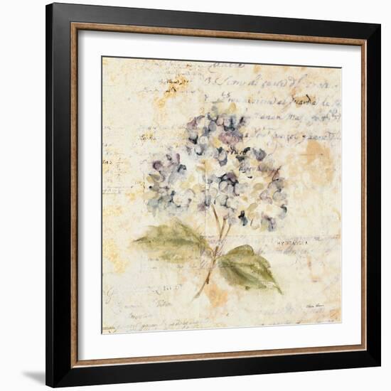 White Wash Hydrangea-Cheri Blum-Framed Art Print