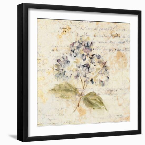 White Wash Hydrangea-Cheri Blum-Framed Art Print