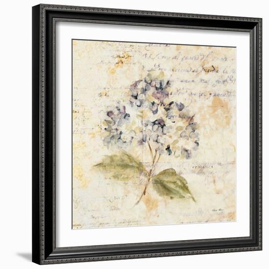 White Wash Hydrangea-Cheri Blum-Framed Art Print