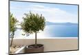 Premium Photographic Print