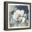 White Washed Peony-Carol Robinson-Framed Stretched Canvas