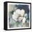 White Washed Peony-Carol Robinson-Framed Stretched Canvas