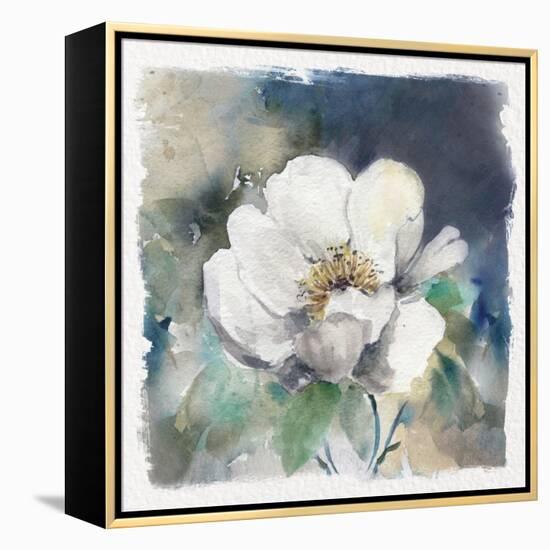 White Washed Peony-Carol Robinson-Framed Stretched Canvas