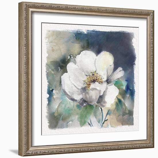 White Washed Peony-Carol Robinson-Framed Art Print