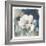 White Washed Peony-Carol Robinson-Framed Art Print