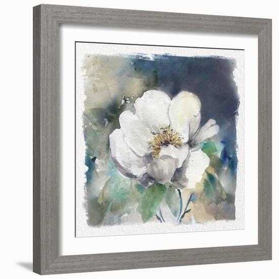 White Washed Peony-Carol Robinson-Framed Art Print