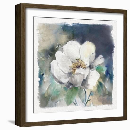 White Washed Peony-Carol Robinson-Framed Art Print