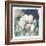 White Washed Peony-Carol Robinson-Framed Art Print