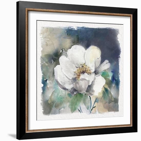 White Washed Peony-Carol Robinson-Framed Art Print